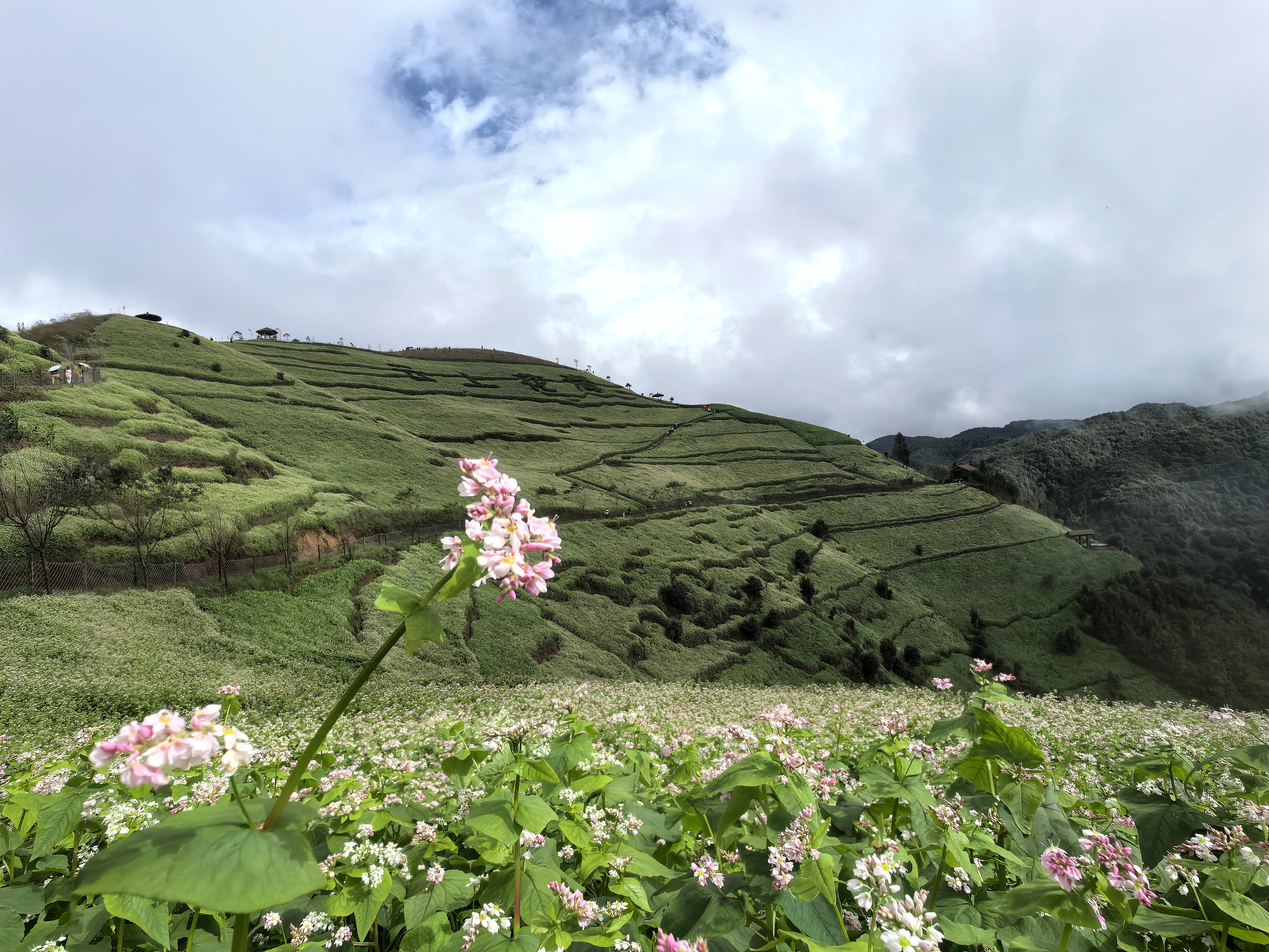 f4cfdc1085eb775dba54841668f6e58