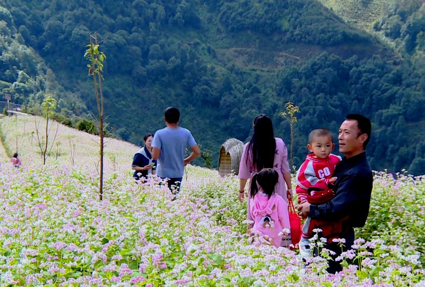 微信图片_20250604170241